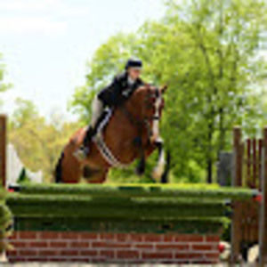 Meet your Posher, Grace hudson